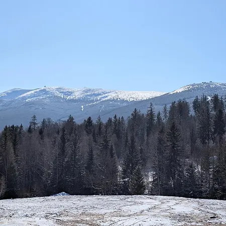 Pod Orlem Апартаменти *