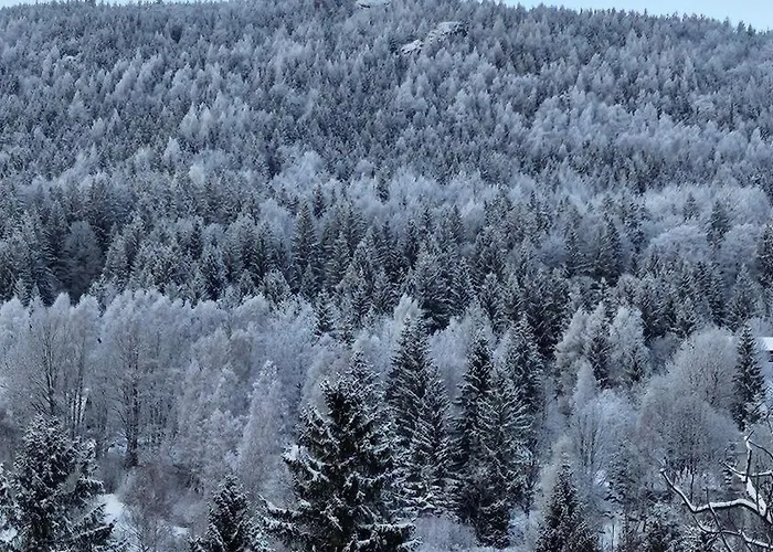 Pod Orlem Appartement *